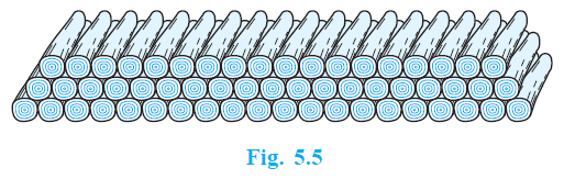 Page 70 Chapter 5 Class 10th Maths NCERT 2024-25